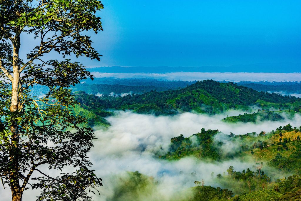 bangladesh-4690973_1920