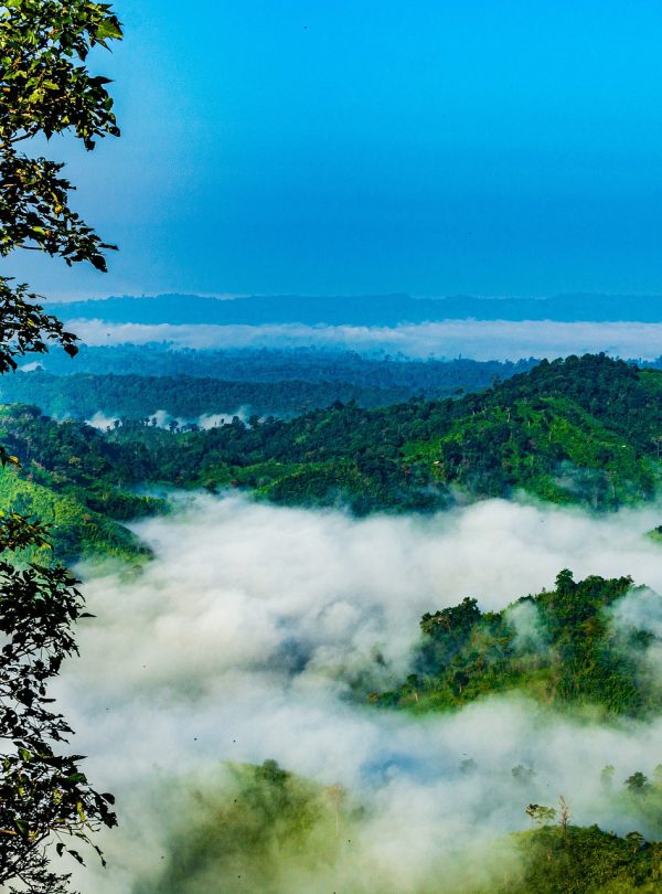 bangladesh-4690973_1920